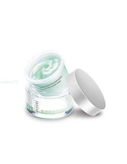 Picture of ALOE-VERA HIGH HYDRATION ECO REFILL SORBET CREAM 50ML